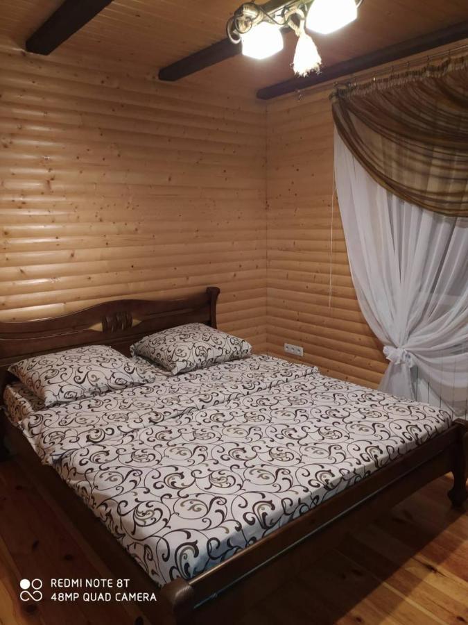 Villa Карпатські Зорі Pilipets Exterior foto